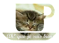 trop chou le minou !!!