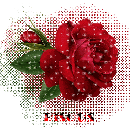 a tous ce qui passe sur mon blog !!!!