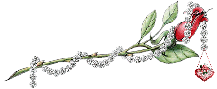 le diamant rose !!!!