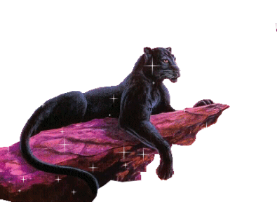 superbe panth�re.......!!!!!!!