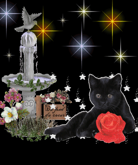 bonne soir�e a tous mes ami(es)