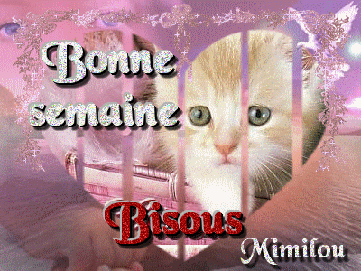 a tous ce qui passe sur mon blog !!!!