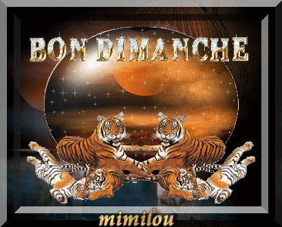 je vous souhaite un tres ..................