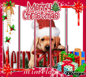 je vous souhaite de bonne f�te de fin d'ann�e